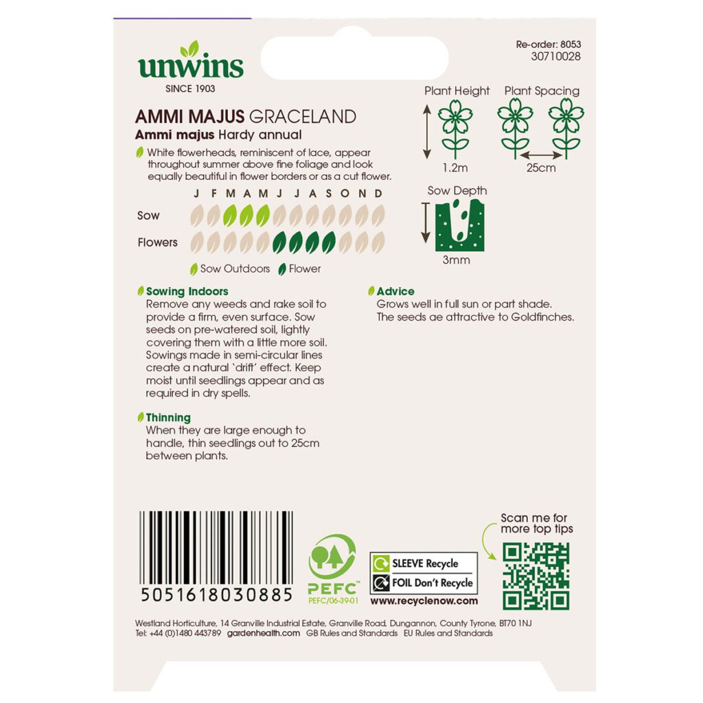 Unwins Ammi Majus Graceland Seeds 5051618030885 2